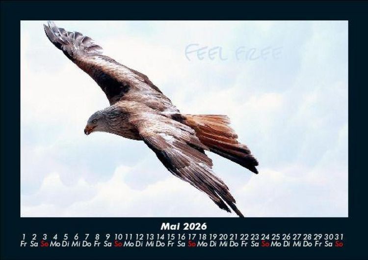 Produktbild: Adler 2026 Fotokalender DIN A5