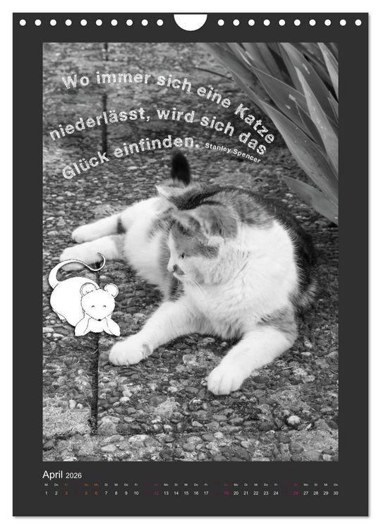 Produktbild: Katz & Maus (Wandkalender 2026 DIN A4 hoch), CALVENDO Monatskalender
