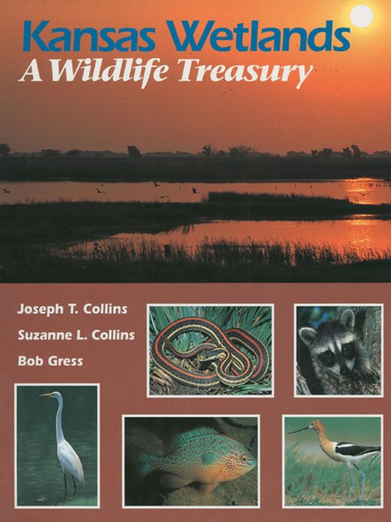 Produktbild: Kansas Wetlands