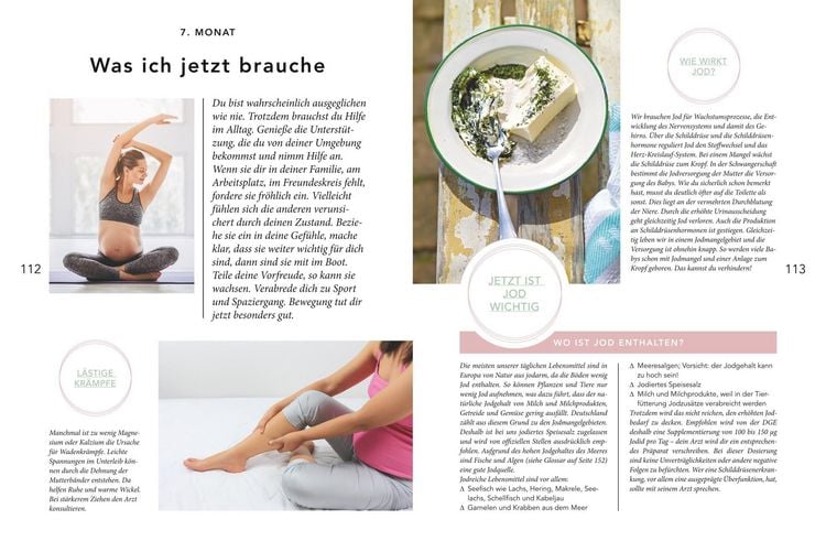 Produktbild: Das Monats-Kochbuch f&uuml;r Schwangere