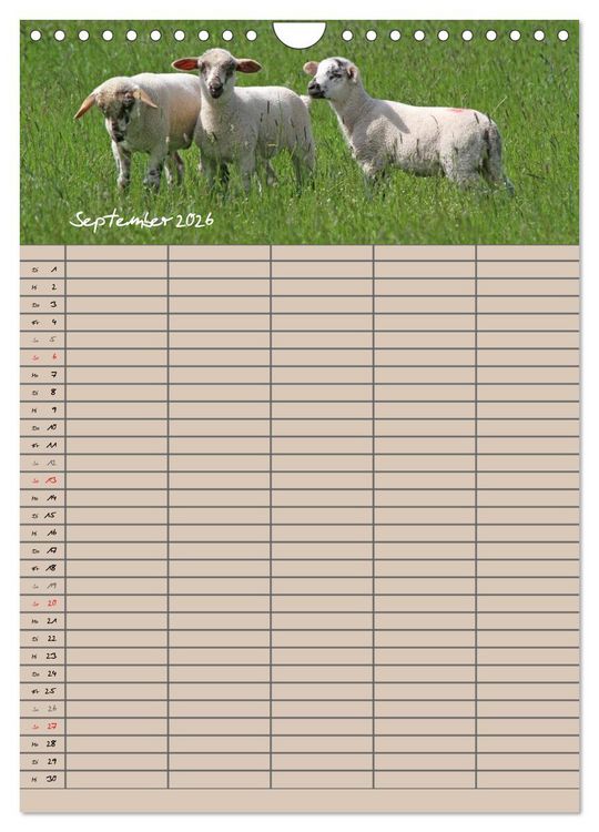 Produktbild: Der bel&auml;mmerte Familienplaner (Wandkalender 2026 DIN A4 hoch), CALVENDO Monatskalender
