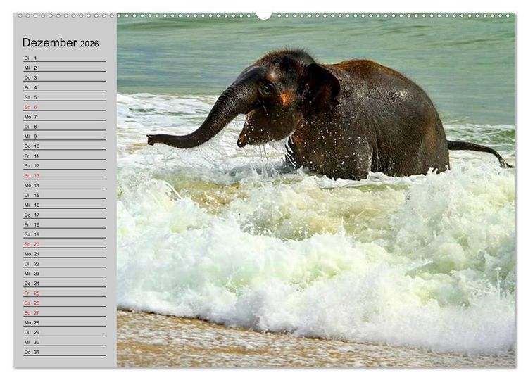 Produktbild: Elefanten. Spa&szlig; am Wasser (hochwertiger Premium Wandkalender 2026 DIN A2 quer), Kunstdruck in Hochglanz