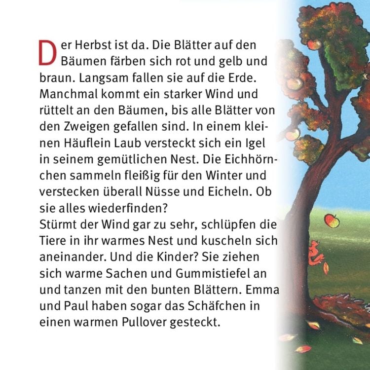Produktbild: St. Martin feiern mit Emma und Paul. Mini-Bilderbuch.