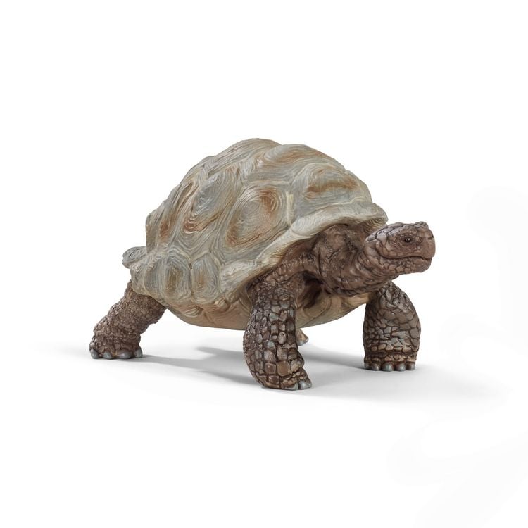 Produktbild: schleich&reg; 14824 Riesenschildkr&ouml;te