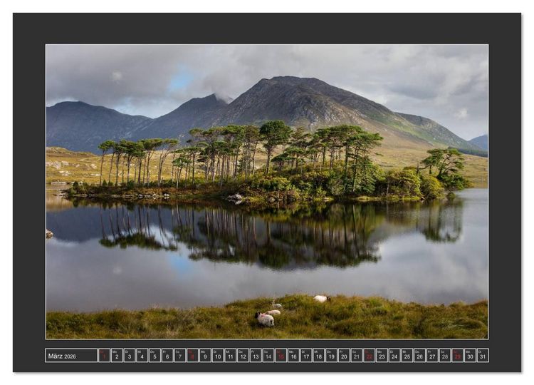 Produktbild: IRLAND - Insel der gl&uuml;cklichen Schafe (Wandkalender 2026 DIN A3 quer), CALVENDO Monatskalender
