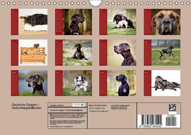 Produktbild: Deutsche Doggen / Geburtstagskalender (Wandkalender immerw&auml;hrend DIN A4 quer)