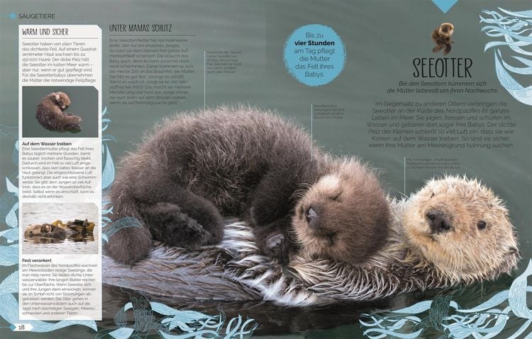 Produktbild: Tierkinder der Wildnis
