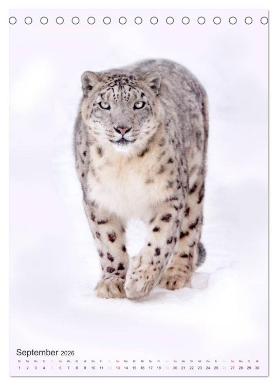 Produktbild: Tiere in Wei&szlig; (Tischkalender 2026 DIN A5 hoch), CALVENDO Monatskalender