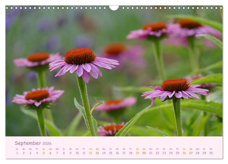 Produktbild: Naturwunder Bl&uuml;ten (Wandkalender 2026 DIN A3 quer), CALVENDO Monatskalender