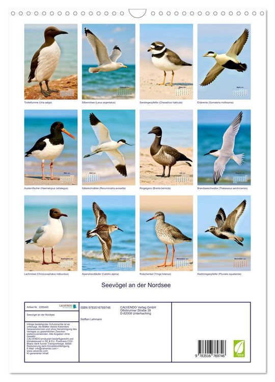 Produktbild: Seev&ouml;gel an der Nordsee (Wandkalender 2027 DIN A3 hoch), CALVENDO Monatskalender