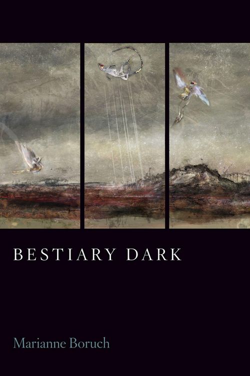 Produktbild: Bestiary Dark