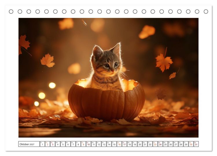 Produktbild: Miau macht gl&uuml;cklich (Tischkalender 2027 DIN A5 quer), CALVENDO Monatskalender