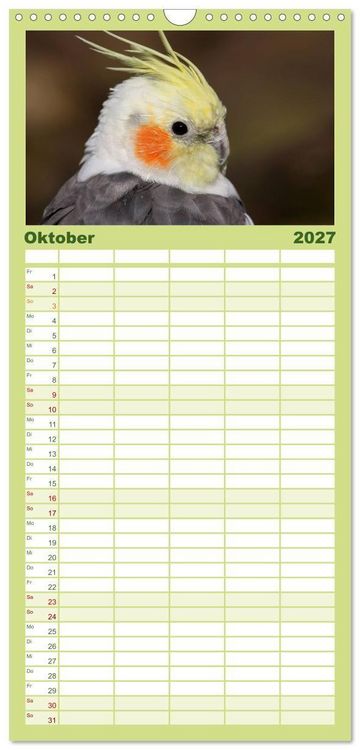 Produktbild: Familienplaner 2027 - Nymphensittiche mit 5 Spalten (Wandkalender, 21 x 45 cm) CALVENDO