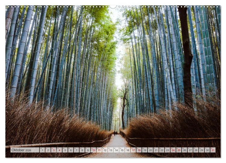 Produktbild: W&auml;lder der Welt (hochwertiger Premium Wandkalender 2026 DIN A2 quer), Kunstdruck in Hochglanz