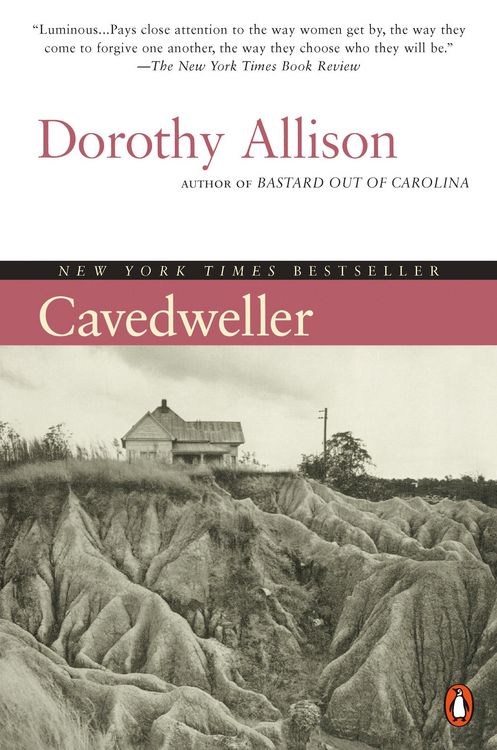 Produktbild: Cavedweller