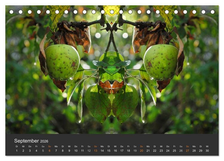 Produktbild: Spiegelwelten - Im Reich der Naturwesen (Tischkalender 2026 DIN A5 quer), CALVENDO Monatskalender