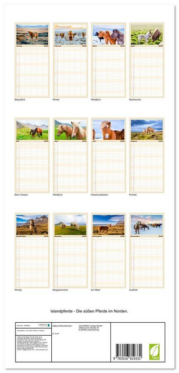 Produktbild: Familienplaner 2026 - Islandpferde - Die s&uuml;&szlig;en Pferde im Norden. mit 5 Spalten (Wandkalender, 21 x 45 cm) CALVENDO