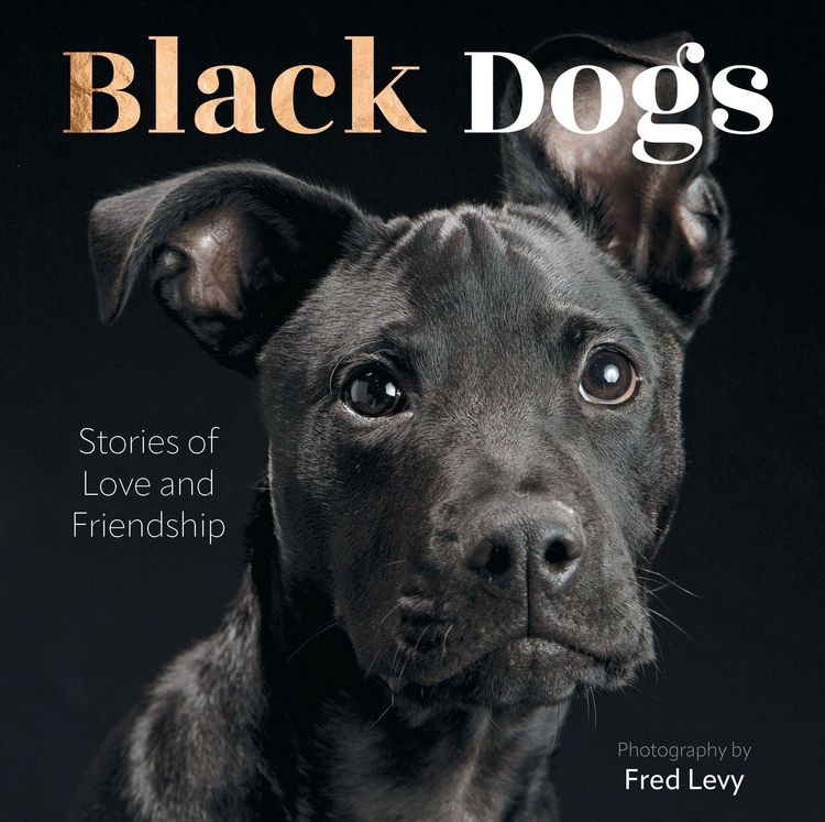 Produktbild: Black Dogs