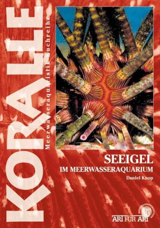 Produktbild: Seeigel im Meerwasseraquarium