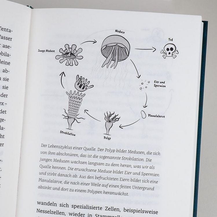 Produktbild: Wenn Haie leuchten
