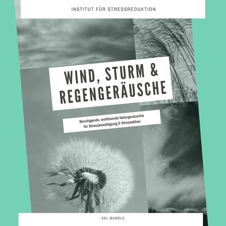 Produktbild: Wind, Sturm & Regenger&auml;usche: Beruhigende, wohltuende Naturger&auml;usche f&uuml;r Stressbew&auml;ltigung & Stressabbau