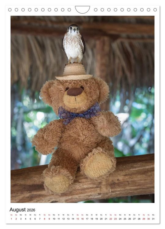 Produktbild: Travelling Teddy Kuba Edition 2026 (Wandkalender 2026 DIN A4 hoch), CALVENDO Monatskalender