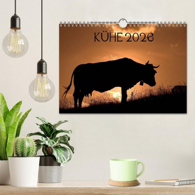 Produktbild: K&uuml;he 2026 (Wandkalender 2026 DIN A4 quer), CALVENDO Monatskalender