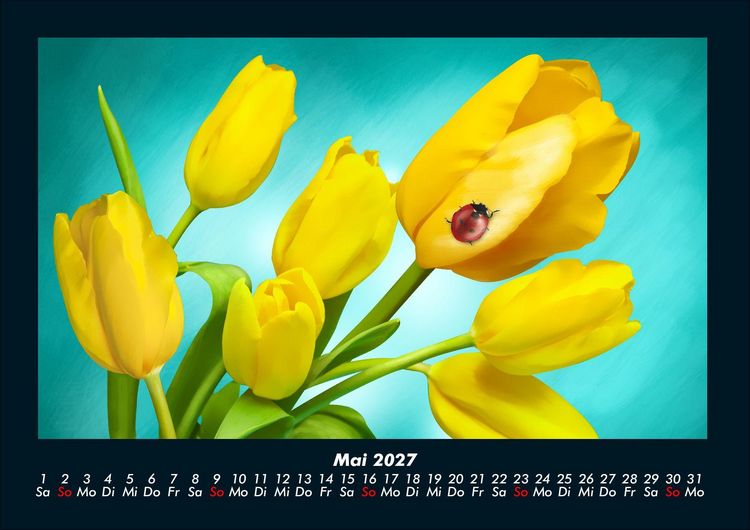 Produktbild: Blumentr&auml;ume 2027 Fotokalender DIN A4