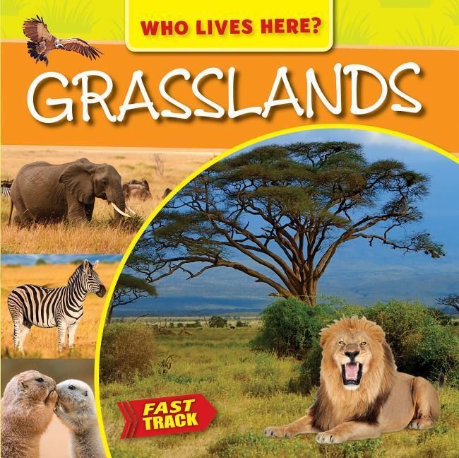 Produktbild: Grasslands