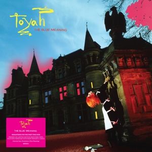 Produktbild: The Blue Meaning (Neon Pink Vinyl)