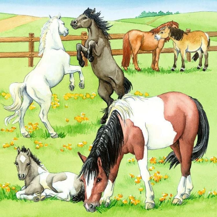 Produktbild: Puzzle Ravensburger Ein Tag auf dem Reiterhof 3 X 49 Teile