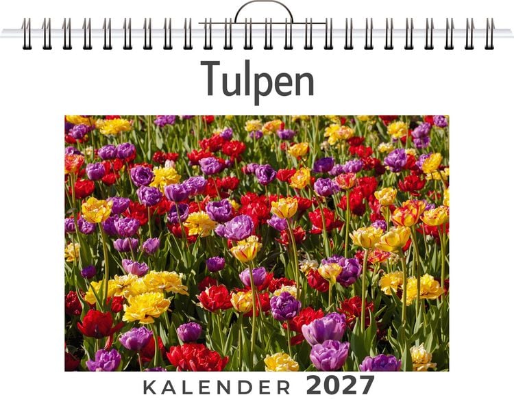 Produktbild: Tulpen