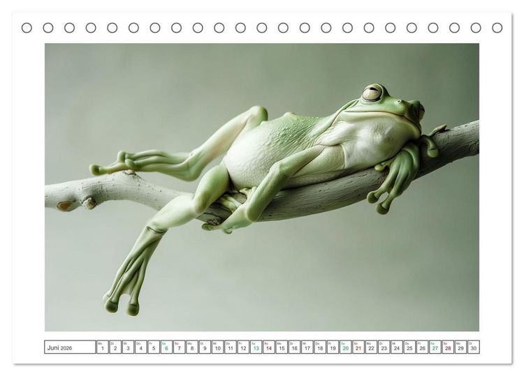 Produktbild: Lustige Amphibienbande (Tischkalender 2026 DIN A5 quer), CALVENDO Monatskalender