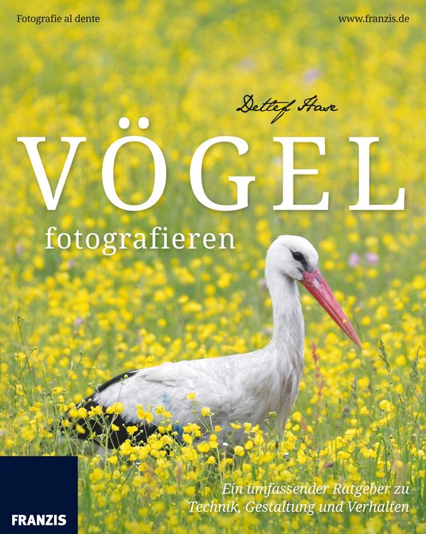 Produktbild: V&ouml;gel fotografieren