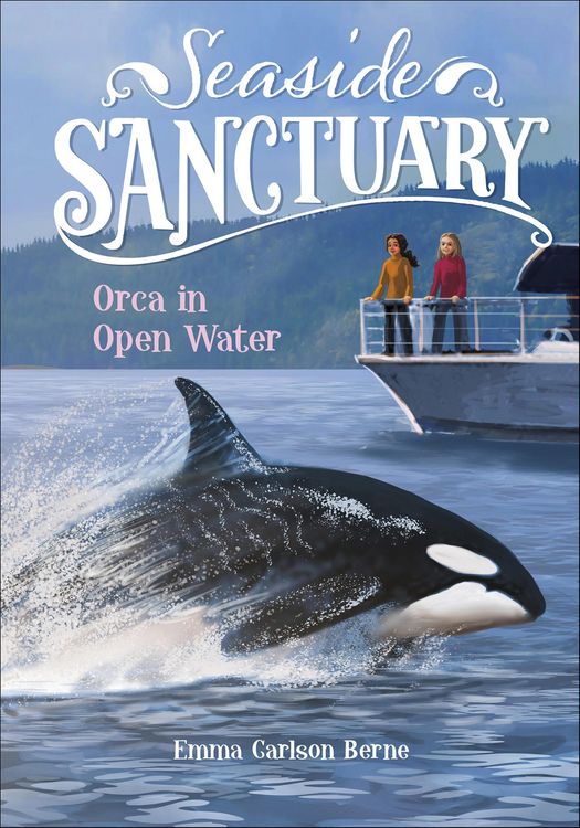 Produktbild: Orca in Open Water