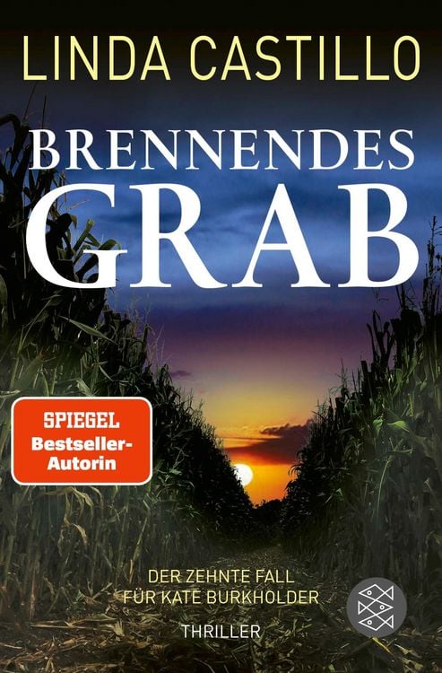 Bild vom Artikel Brennendes Grab vom Autor Linda Castillo