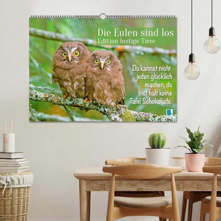 Produktbild: Die Eulen sind los: Edition lustige Tiere (Wandkalender 2026 DIN A2 quer), CALVENDO Monatskalender
