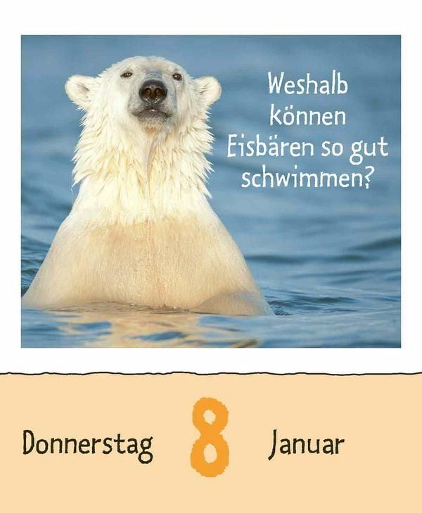 Produktbild: Wie faul ist das Faultier? 2026