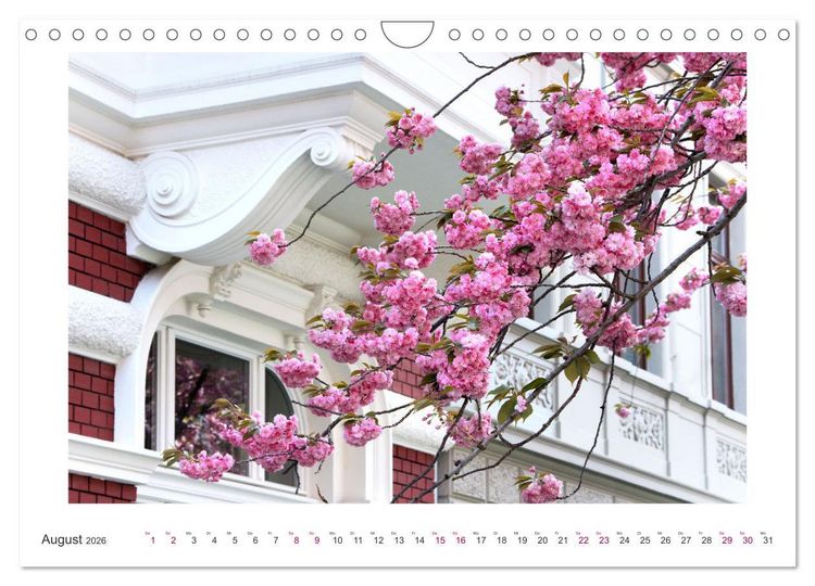 Produktbild: Japanische Kirschbl&uuml;te in Bonn (Wandkalender 2026 DIN A4 quer), CALVENDO Monatskalender