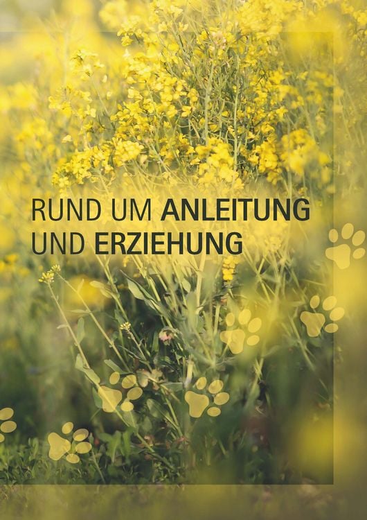 Produktbild: Ein Hund und 1000 Fragen