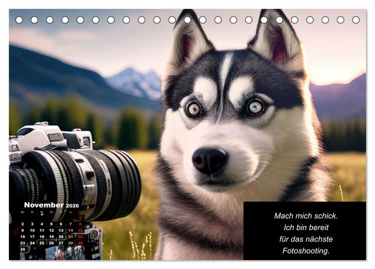 Produktbild: Der tierisch lustige Husky Kalender (Tischkalender 2026 DIN A5 quer), CALVENDO Monatskalender