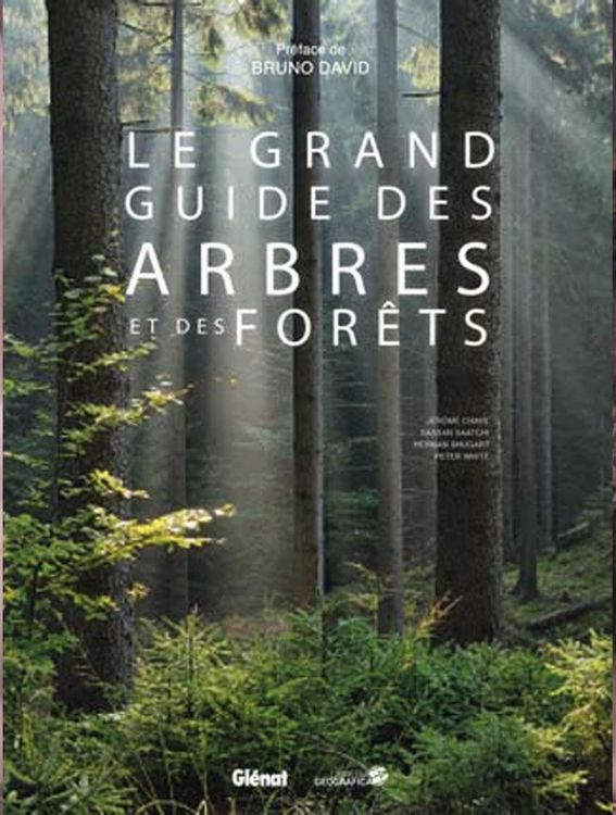 Produktbild: Le grand guide des arbres et for&ecirc;ts