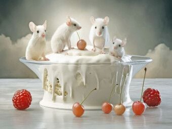 Produktbild: CALVENDO Puzzle Dessert-Tisch | 1000 Teile Lege-Gr&ouml;&szlig;e 64x48cm Foto-Puzzle f&uuml;r gl&uuml;ckliche Stunden