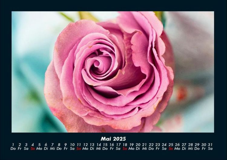 Produktbild: Rosentraum 2025 Fotokalender DIN A4