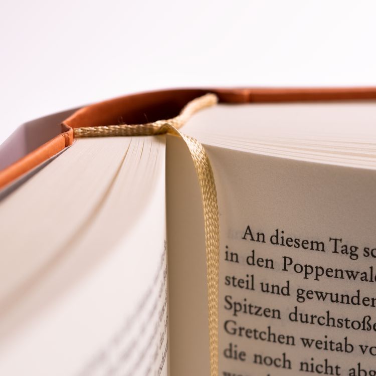 Produktbild: Die Sehnsucht nach Licht