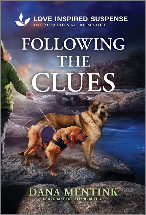 Produktbild: Following the Clues