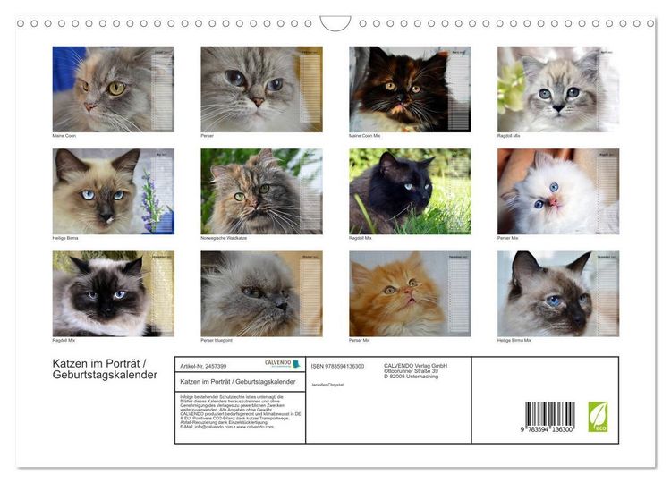 Produktbild: Katzen im Portr&auml;t / Geburtstagskalender (Wandkalender 2027 DIN A3 quer), CALVENDO Monatskalender