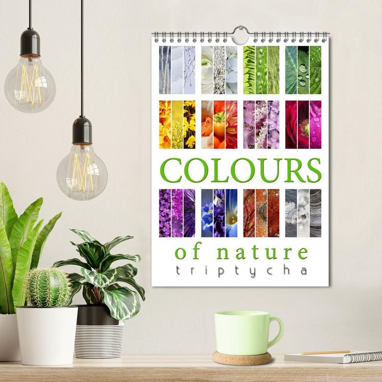 Produktbild: Colours of Nature - Triptycha (Wall Calendar 2026 DIN A4 portrait), CALVENDO 12 Month Wall Calendar
