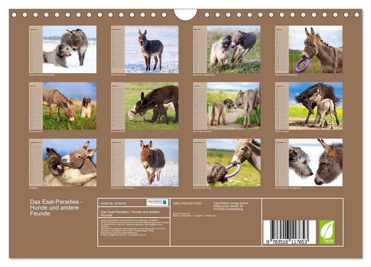 Produktbild: Das Esel-Paradies - Hunde und andere Feunde (Wandkalender 2026 DIN A4 quer), CALVENDO Monatskalender