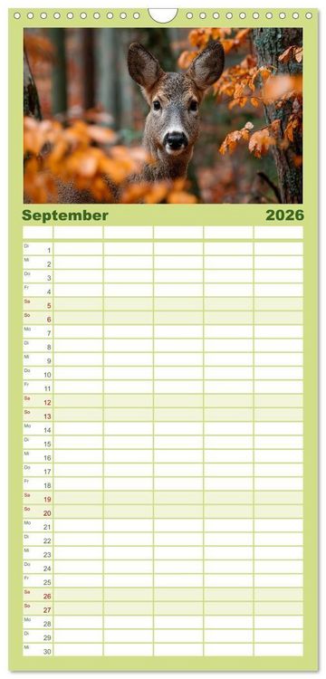 Produktbild: Familienplaner 2026 - HIRSCHE UND REHE - Ein Jahr in freier Wildbahn mit 5 Spalten (Wandkalender, 21 x 45 cm) CALVENDO